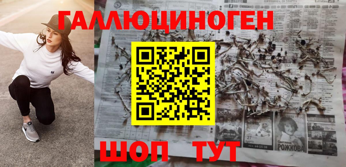 Галлюциногенные грибы Cubensis Архангельск
