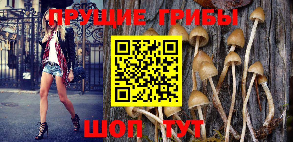 Псилоцибиновые грибы MAGIC MUSHROOMS  Вход с VPN  Галлюциногенные грибы GOLDEN TEACHER  Архангельск 